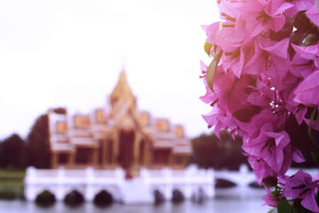 In the morning at Aisawan Thipphaya by focus to flower の写真素材