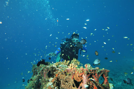 Manokwari, west papua, indonesia-july, 05, 2021 : diving under the sea while enjoying the view of coral reefsのeditorial素材