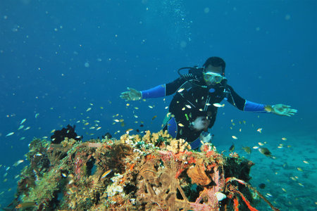 Manokwari, west papua, indonesia-july, 05, 2021 : diving under the sea while enjoying the view of coral reefsのeditorial素材