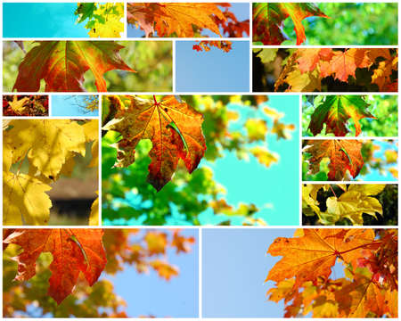 autumn sceneの写真素材