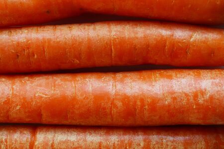Photography of carrots pattern for food backgroundの写真素材