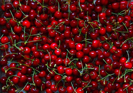 Photography of cherries on metal tray for food backgroundの写真素材