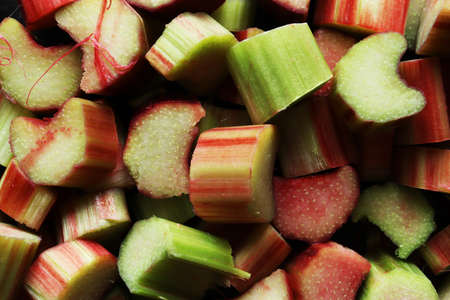 Macro photography of a bunch of fresh cut organic rhubarb stalks for food backgroundの写真素材