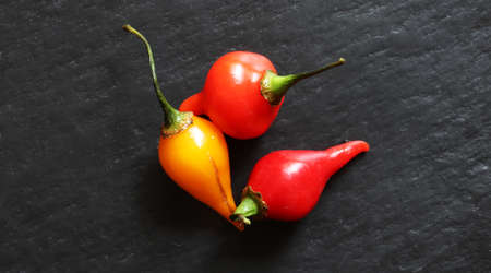 Photography of three red and yellow pimentos biquinhos for food backgroundの写真素材