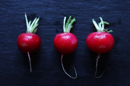 Photography of three red radishes on slate background for food illustrationsの写真素材