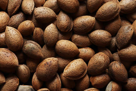 Photography of almonds in shell for food background