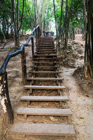 Stairway in the bamboo forestの写真素材