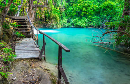 Wood bridge beside swampの写真素材