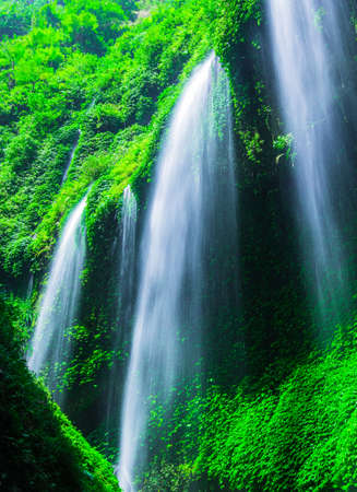 Madakaripura Waterfall in Bromo Tenger Semeru National Park, East Java, Indonesiaの写真素材