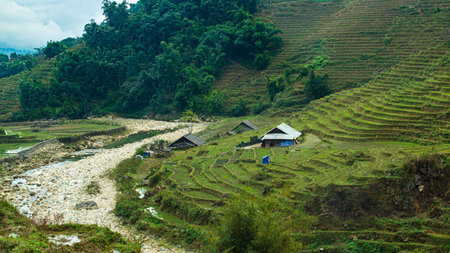 Rice field terraces in Sapa, North Vietnamの写真素材