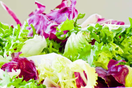 Fresh various salad leaves mixed together