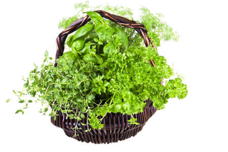Basket of basil, thyme, dill, and parsley over white backgroundの写真素材