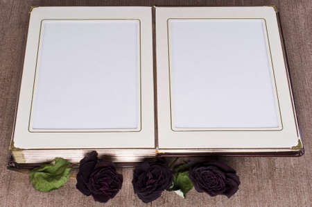 Open old book with gold framed pages and dried roses