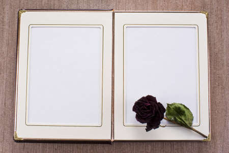 Open old book with gold framed pages and dried rose