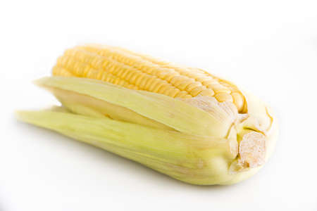 Cob corn isolated over whiteの写真素材
