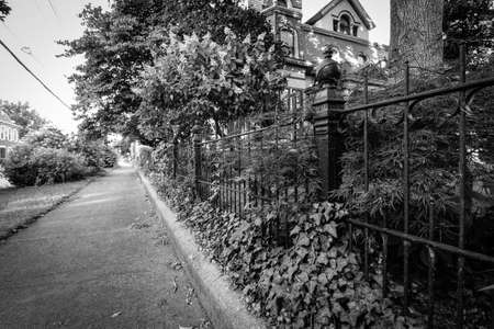 Street viewの写真素材