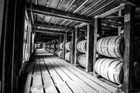 Down the corridorの写真素材