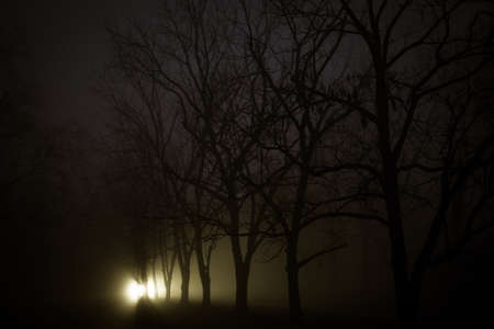Foggy Night 8の写真素材