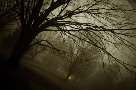 Foggy Nightの写真素材