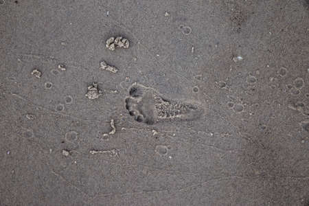 looking down onto a small footprint in the sandの写真素材