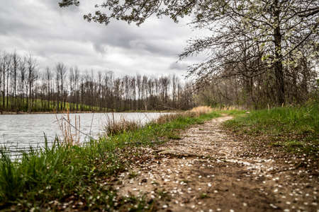 low to the ground view of a walking trail around a lakeの写真素材