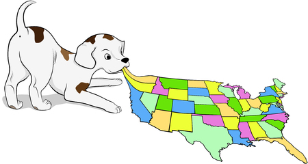 Small spotted puppy playing pulls a map of the USAのイラスト素材