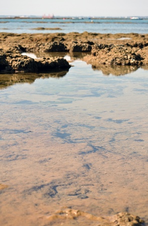 The seaの写真素材