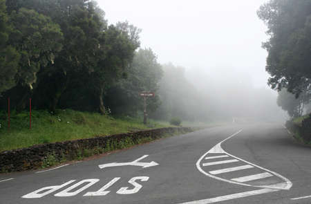 Country road in the misty mountains of El Hierroの写真素材