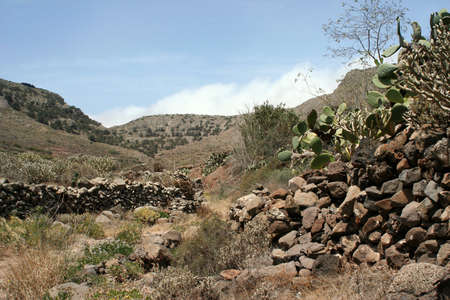 landscape near the village of HarÃ­a, Lanzaroteの写真素材