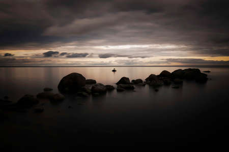 Lonely bird by the sea.の写真素材