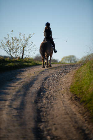 Girl on her horse in trot.の写真素材