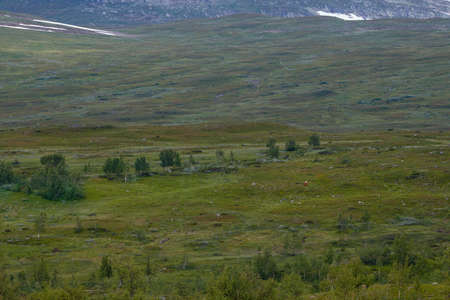 View from Lapland Sweden.の写真素材