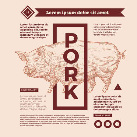 Fresh pork in the form of engraving on label with a text stamp, and lettering calligraphy.のイラスト素材