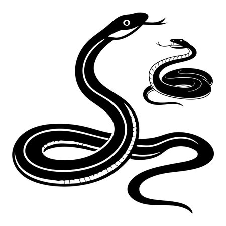 High-contrast black and white illustration showcasing two stylized snakes, emphasizing their fluid curves, detailed patterns, and bold outlines, perfect for nature, art, or reptile-themed projects.のイラスト素材