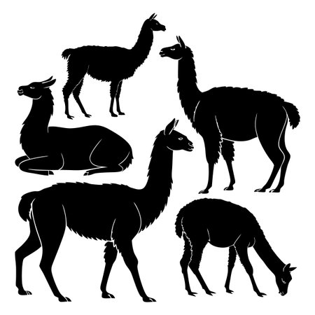 A collection of llama silhouettes in different poses including grazing, standing, and reclining. Perfect for educational, illustrative, and artistic uses.のイラスト素材