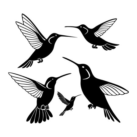 Illustration depicting black silhouettes of hummingbirds in various flight positions against a white background. Perfect for nature-inspired designs, bird watching, ornithology, and wildlife-themed projects.のイラスト素材