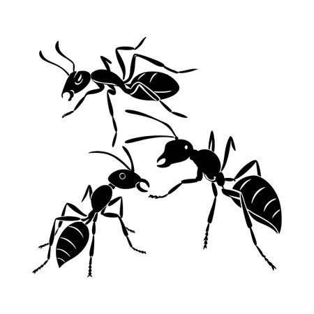 Illustration of three black ant silhouettes depicted with intricate details, set against a white background highlighting their form and structure in a striking and artistic manner.のイラスト素材