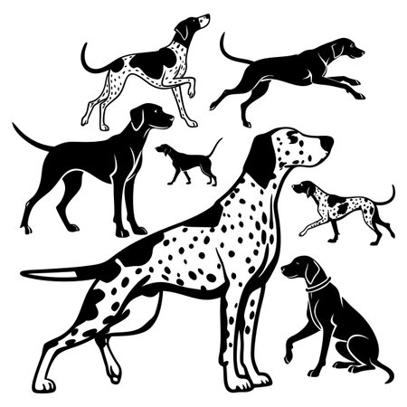 Collection of black-and-white silhouette illustrations featuring dogs and pointers in dynamic and resting positions in diverse perspectives.のイラスト素材