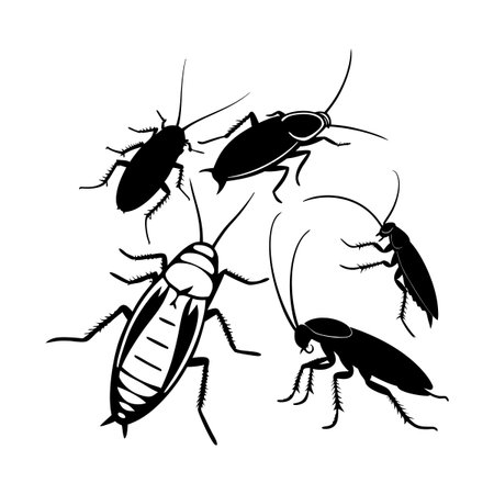 Vector illustration of cockroach silhouettes symbolizing pests, infestations, and nature's small creatures, presented with detailed accuracy and contrast.のイラスト素材