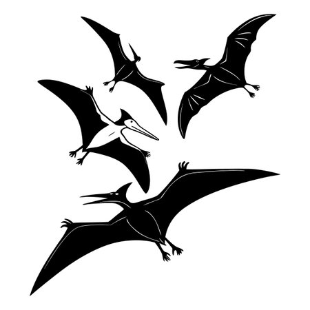 Stylized black silhouettes of prehistoric flying pterosaurs depicted in dynamic flight formations.のイラスト素材