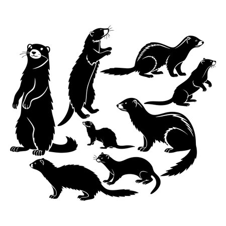 Collection of silhouette illustrations depicting mustelid animals, showcasing distinct poses and body postures, perfect for wildlife studies, educational resources, and natural-themed design projects.のイラスト素材