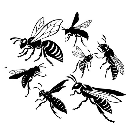 High-quality vector illustration featuring diverse black silhouettes of different species of bees and wasps arranged artistically, showcasing intricate details and variety for nature or design projects.のイラスト素材