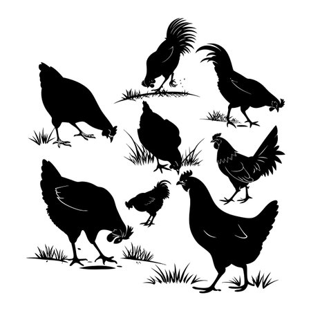Black and white silhouettes depicting roosters and hens grazing in clustered grass, presented in various naturalistic and orderly positions, emphasizing pastoral and rustic imagery.のイラスト素材