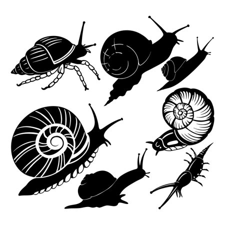 Illustrations display silhouetted depictions of diverse snails and crustaceans featuring intricate designs. Each figure highlights unique textures, showcasing exquisite representation of these creatures in an artistic manner.のイラスト素材