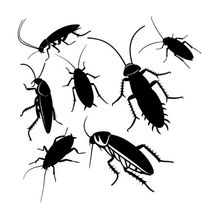 Illustration featuring black silhouettes of various cockroach species against a clean white background. The detailed representation highlights the distinct shapes and characteristics of these commonly found insect species.のイラスト素材