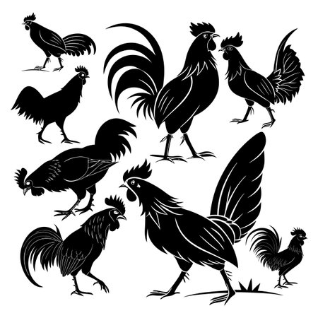 A collection of artistic black silhouette illustrations depicting roosters in various dynamic and natural poses, highlighting their unique forms and expressive movements in a striking monochromatic design.のイラスト素材