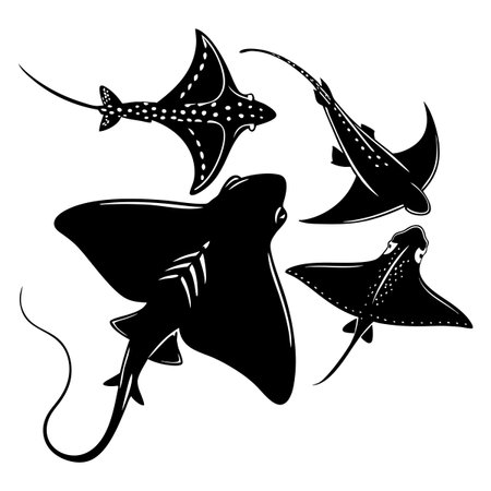 Stylized silhouette artwork featuring stingrays in various poses, emphasizing aquatic themes in black and white.のイラスト素材