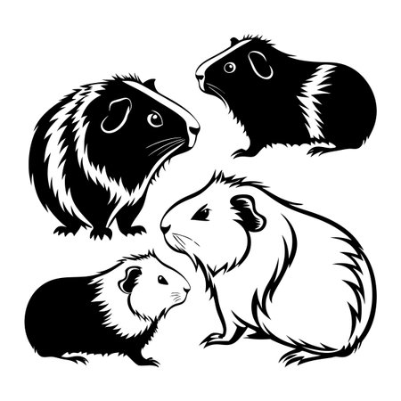 Stylized black and white drawings of guinea pigs in different poses, showcasing their unique qualities and charm. Perfect for animal lovers, pet enthusiasts, and creative art projects.のイラスト素材