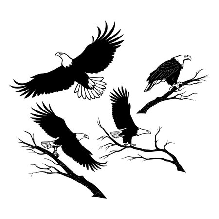 Illustration featuring bald eagle silhouettes showcasing magnificent poses with wings spread and perched on branches, emphasizing their majestic strength and natural elegance.のイラスト素材