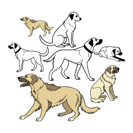 A detailed artistic depiction of multiple dogs in various stances and styles. Perfect for pet-related graphic designs.のイラスト素材